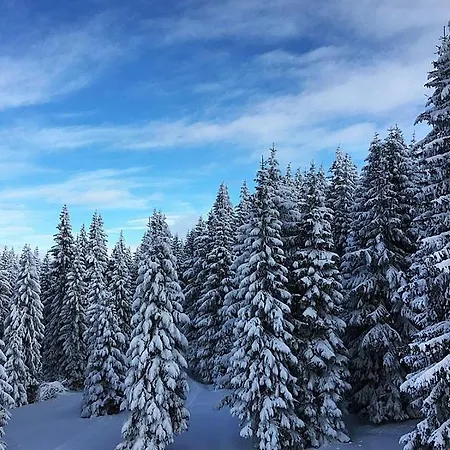 شقة Sunset View & *