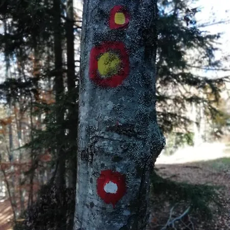 Sunset View & شقة *