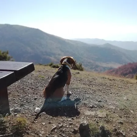 Sunset View & شقة كوباونيك