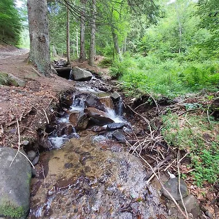 Sunset View & كوباونيك