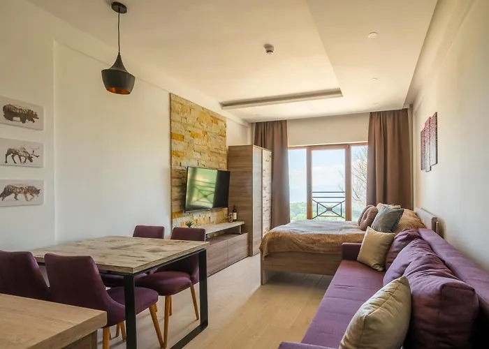 Sunset View & コパオニク