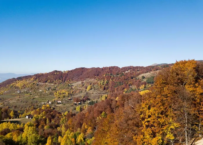 Sunset View & アパート