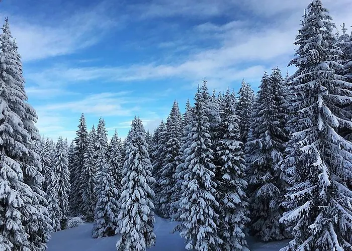 アパート Sunset View & *