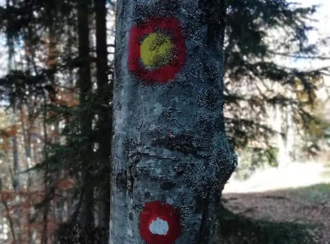 Sunset View & アパート *