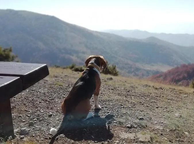 Sunset View & アパート コパオニク