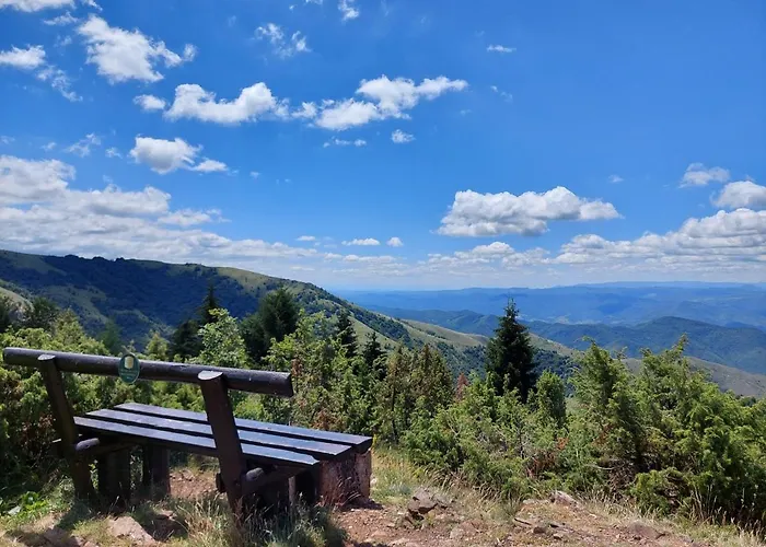 Sunset View & * コパオニク