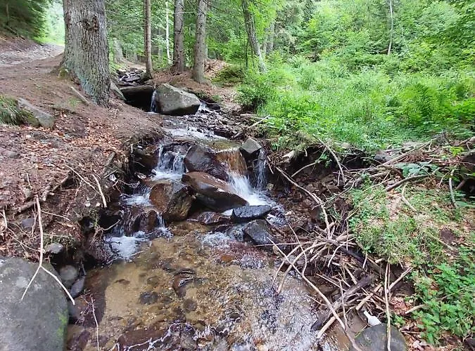 Sunset View & コパオニク